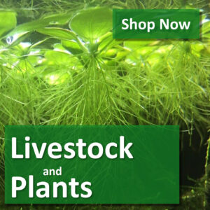 Livestock & Plants